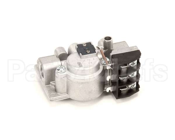 0C6675 Electrolux Professional Gas Valve