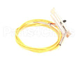 0C7421 Electrolux Professional Thermocouple;Dia.3,17;L=1500Mm;Angle 90