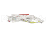 0C8644 Electrolux Professional Wiring Harness