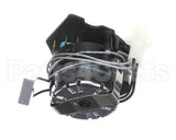 0C8695 Electrolux Professional Gearmotor, 240V 60Hz, Usa