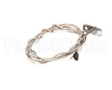 0CA452 Electrolux Professional Pt1000 Probe, Speedelight