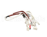 0CB473 Electrolux Professional Wiring Harness; Magnetron Hspe