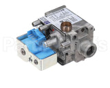 0CBAKU Electrolux Professional Gas Valve; 220V 60Hz; Usa;