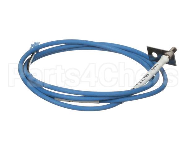 0CK209 Electrolux Professional Ntc Probe; Blu