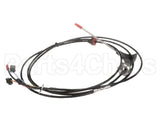 0CK601 Electrolux Professional Core Probe