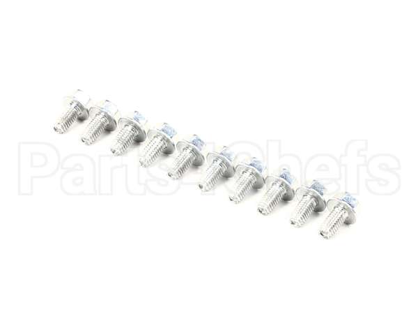 0D0551 Electrolux Professional Screw, 10 Pieces