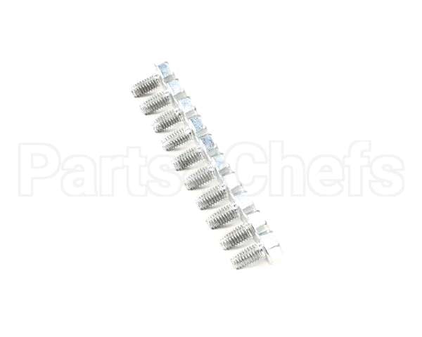 0D0551 Electrolux Professional Screw, 10 Pieces