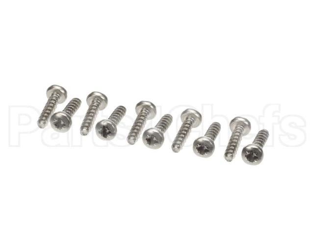 0D1009 Electrolux Professional Screw, 10 Pieces
