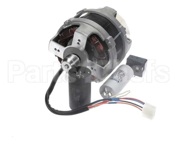 0D1215 Electrolux Professional Tr22 Motor 1 115 60