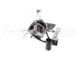 0D1538 Electrolux Professional Multi Green Motor 1/115 60