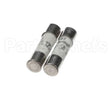 0D3931 Electrolux Professional Fuse, 2 Pieces