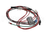 0D7588 Electrolux Professional Wiring Harness, Libero