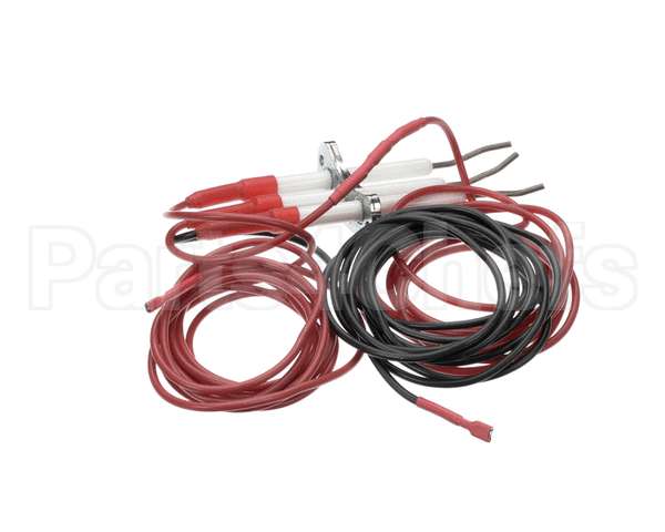 0G6241 Electrolux Professional Spark Plug With Flame Dectection Plug