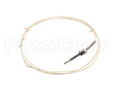 0K5058 Electrolux Professional Probe