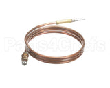 0KI369 Electrolux Professional Thermocouple, L750Mm, M8X1