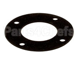 0L0919 Electrolux Professional Gasket