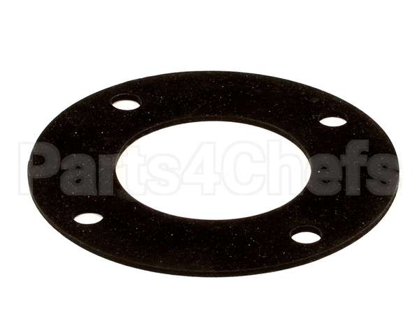 0L0919 Electrolux Professional Gasket