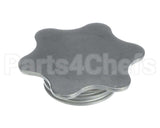0L0978 Electrolux Professional Plug, For Wash Arms