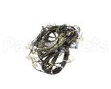 0L1157 Electrolux Professional Wiring Harness, Pw1-Pw2 Usa