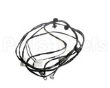 0L2916 Electrolux Professional Wiring Harness