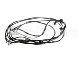 0L2916 Electrolux Professional Wiring Harness