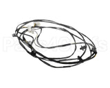 0L2916 Electrolux Professional Wiring Harness