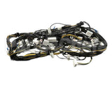 0L3099 Electrolux Professional Wiring Harness