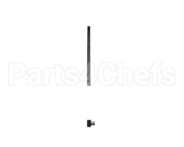 0SI001 Electrolux Professional Rod