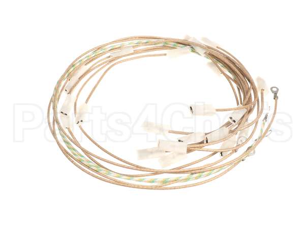 0SI006 Electrolux Professional Wiring Harness