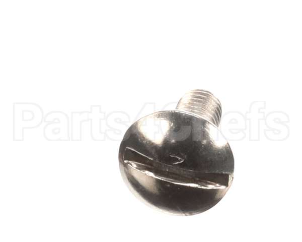 0U0666 Electrolux Professional Screw, 10 Pieces