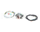 0U0722 Electrolux Professional Pcb, Ass., 1P