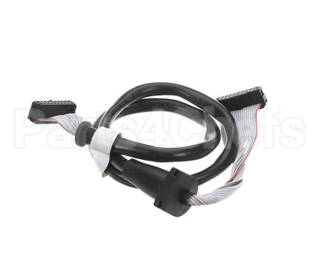 1.4863 Synesso Ribbon Cable, 20 Pin Round, For Handheld