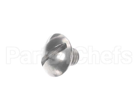 1.8050 Synesso Screws, Ss, 10-32 Truss Hd Slot 1/4"