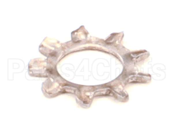 10-2513 Market Forge Lockwasher Shakeproof 1/4