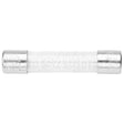 10-5973 Compatible Market Forge Glass Fuse