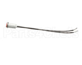 10-5991 Market Forge Pilot Light