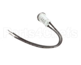 10-6669 Market Forge Pilot Light 240 V.