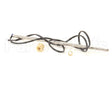 1000.00063.00 Fetco Temp. Probe, 8 Long, Digital,