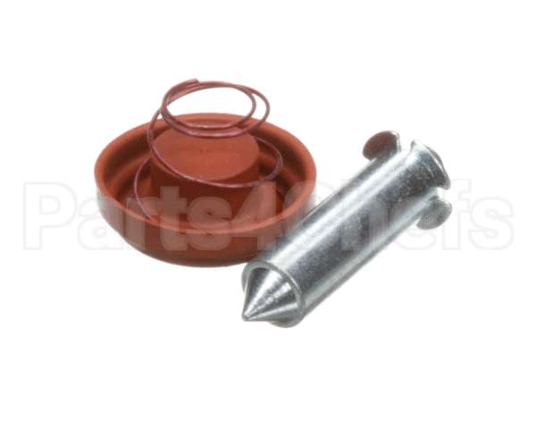 1000.00098.00 Fetco Kit, Valve Rebuild, Dsv11, 24V