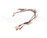 1000005185 Elkay Harness