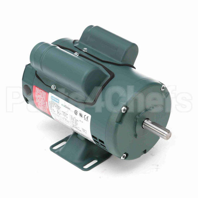 100007 Leeson Motor