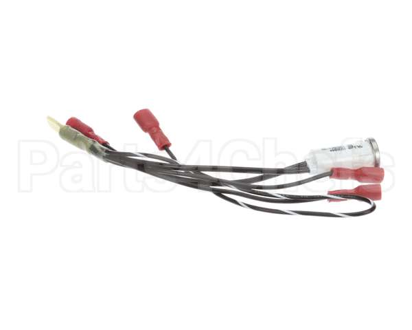 100051 Globe Indicator Lamp Assembly