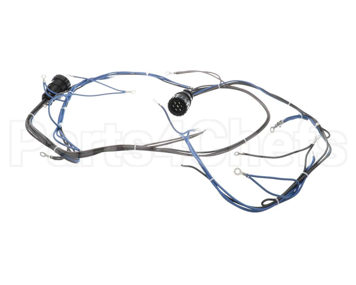 10005602 Lincoln Wireharness,Back,Y