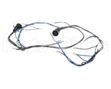 10005602 Lincoln Wireharness,Back,Y