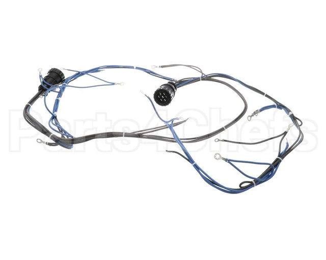10005602 Lincoln Wireharness,Back,Y