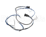 10005602 Lincoln Wireharness,Back,Y