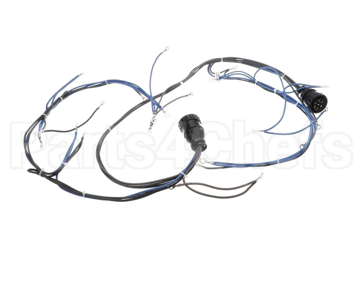 10005602 Lincoln Wireharness,Back,Y