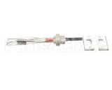 100093631 Polaris Water Heater Igniter Kit Includes:gasket Br