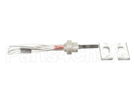 100093631 Polaris Water Heater Igniter Kit Includes:gasket Br