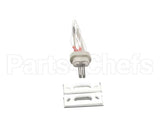 100093631 Polaris Water Heater Igniter Kit Includes:gasket Br